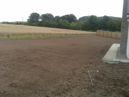 Image of prepared seed bed