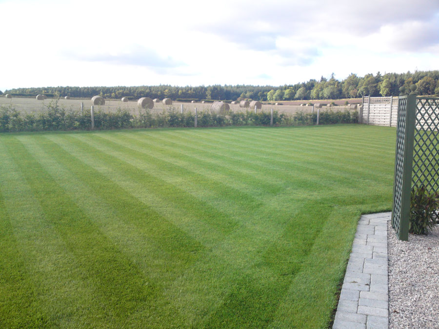 Image of finished lawn